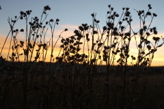 Colorful-Colorado-Nature-KH12