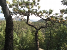 Colorful-Colorado-Nature-KH10