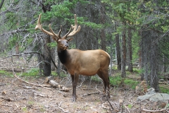 Colorful-Colorado-Nature-KH02